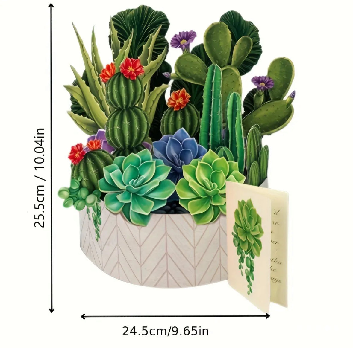 Cactus Garden Pop-Up Flower Card (small tare)