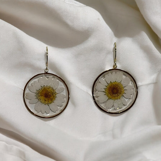 Round Chrysanthemum Earrings Gold plated brass