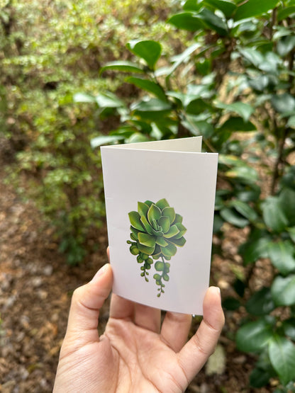 Cactus Garden Pop-Up Flower Card (small tare)